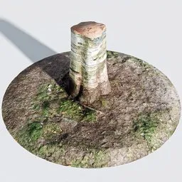 "Low poly model of a photo-scanned tree stump with 2k PBR textures for Blender 3D. Perfect for games, AI apps, or hyperrealistic scenes. Also great for minimalistic design and pixel sorting."