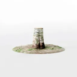 Realistic Blender 3D tree stump model showcasing fine details and textures, suitable for natural scene rendering.