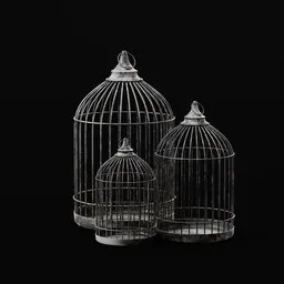 Detailed 3D rendering of vintage birdcages, suitable for Blender scenes, showcasing intricate metalwork and realistic textures.