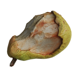 A bitten pear scan photogrammetry