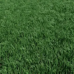 Grass Lawn Maker