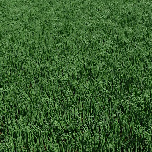 Grass Lawn Maker