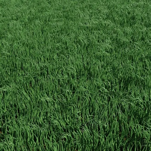 Grass Lawn Maker