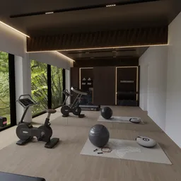 Modern Luxury Home Gym Interior