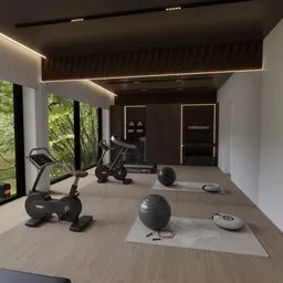 Modern Luxury Home Gym Interior