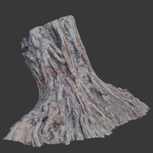 Tree Gnarled Roots