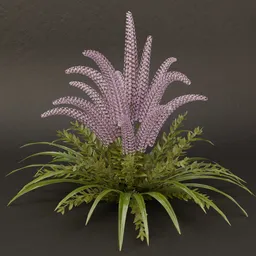 SJ-Lavender Crystal Fantasy Bloom