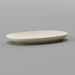 Platter