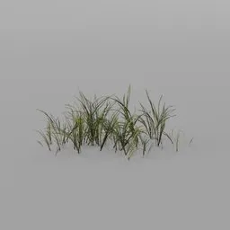 Thick Grass