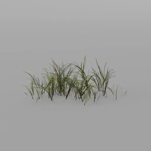 Thick Grass