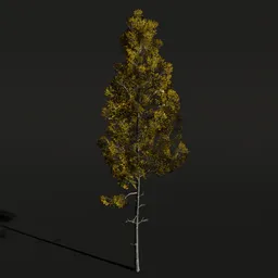Realistic Quaking Aspen 3D model with detailed textures, optimized for Blender rendering.