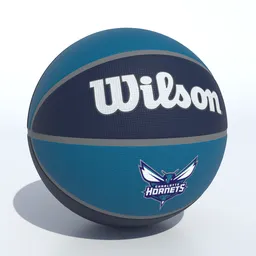Wilson Charlotte Hornets Basketball