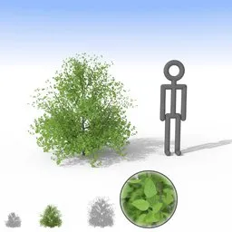 Realistic 3D model of a lush green bush with detailed leaves for landscaping in Blender 3D.