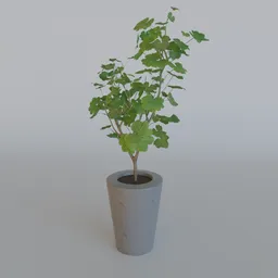 Potted plant v1