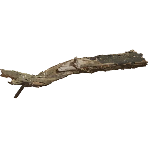 Dead Tree Trunk 02