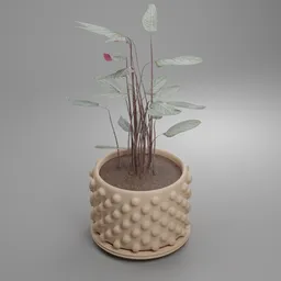 "3D model of a Ctenanthe oppenheimiana plant in a pot with a pink flower, featuring a bio-inspired design and a translucent purple back. Created with Blender 3D software, this model has a unique nanospace round design and is perfect for nature and indoor scenes."
