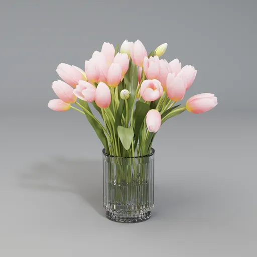 Tulips flower