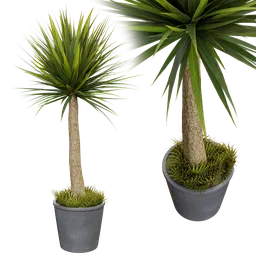 Realistic Blender 3D model of two potted indoor plants with detailed textures and natural colors.