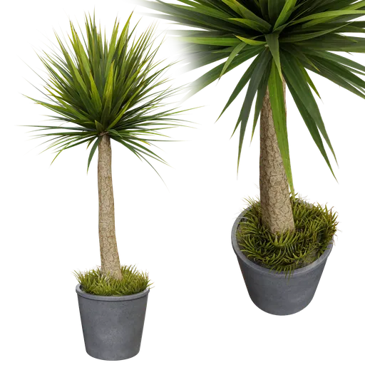 Realistic Blender 3D model of two potted indoor plants with detailed textures and natural colors.