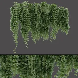 Vertical Hanging Plant