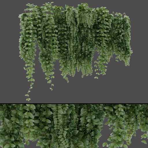 Vertical Hanging Plant