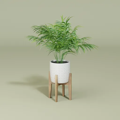 Palm plant