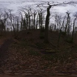 Autumn Forest 02