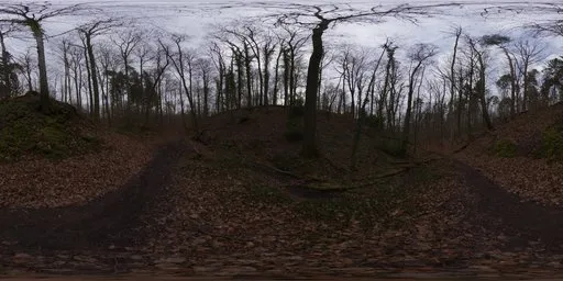Autumn Forest 02