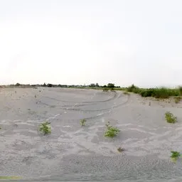 Sandy Field HDRI