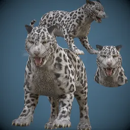 Game-Ready Realistic Snow Leopard-jaguar