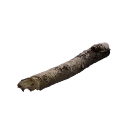 Branch
