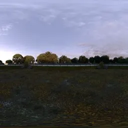 Garden Fall Backdrop Morning with Fence