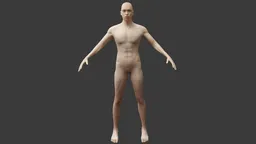 Simplified male figure for 3D sculpting in Blender, ideal for character design and anatomy study.