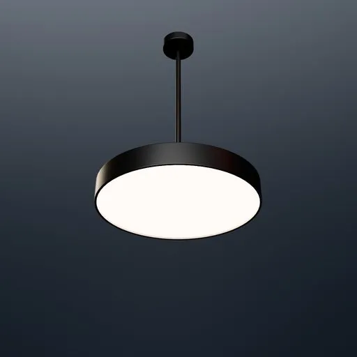 Ceiling Mounted Disc Light
