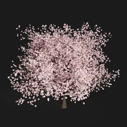 Sakura Tree