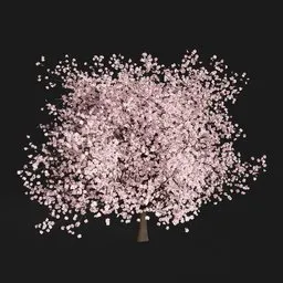 Sakura Tree
