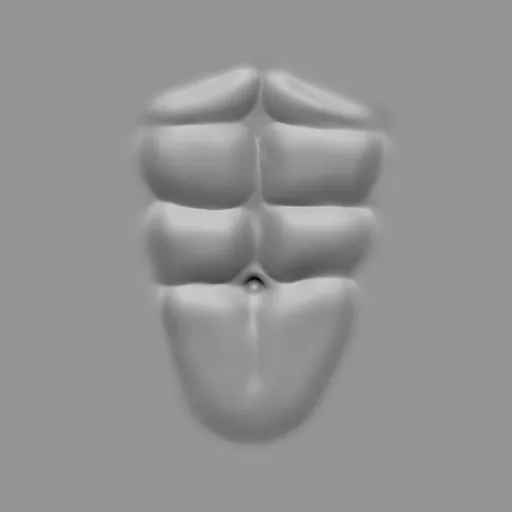 ER_Muscle brush 21