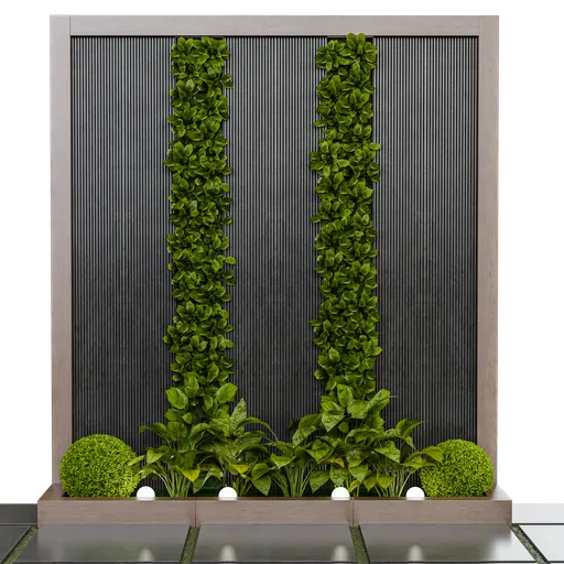 Wall plants