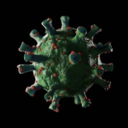 Corona Virus