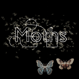 Moths with shape attractor