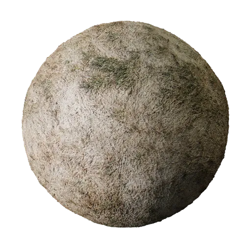 Brown grass