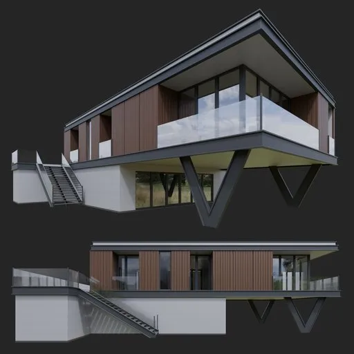 Modern wooden house