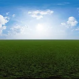 Green grass cloudy blue sky pure sky