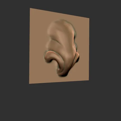 ER Nose Brush 06