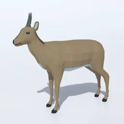 Low Poly Duiker Antelope