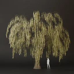 SJ-Wind Whispering Beauty