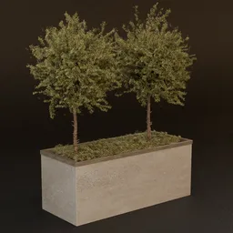 SJ-Urban Elegance Nature Blend