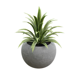 Concrete pot with plant