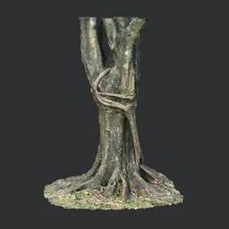 High-res 3D scan of moss-covered tree roots, ideal for realistic Blender 3D modeling and game environments.