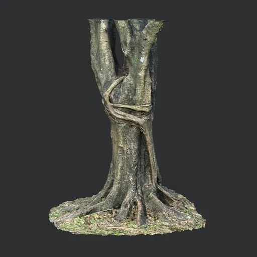 High-res 3D scan of moss-covered tree roots, ideal for realistic Blender 3D modeling and game environments.